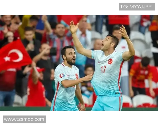 土耳其与捷克2008年欧锦赛经典对决回顾与土豆趣闻分享