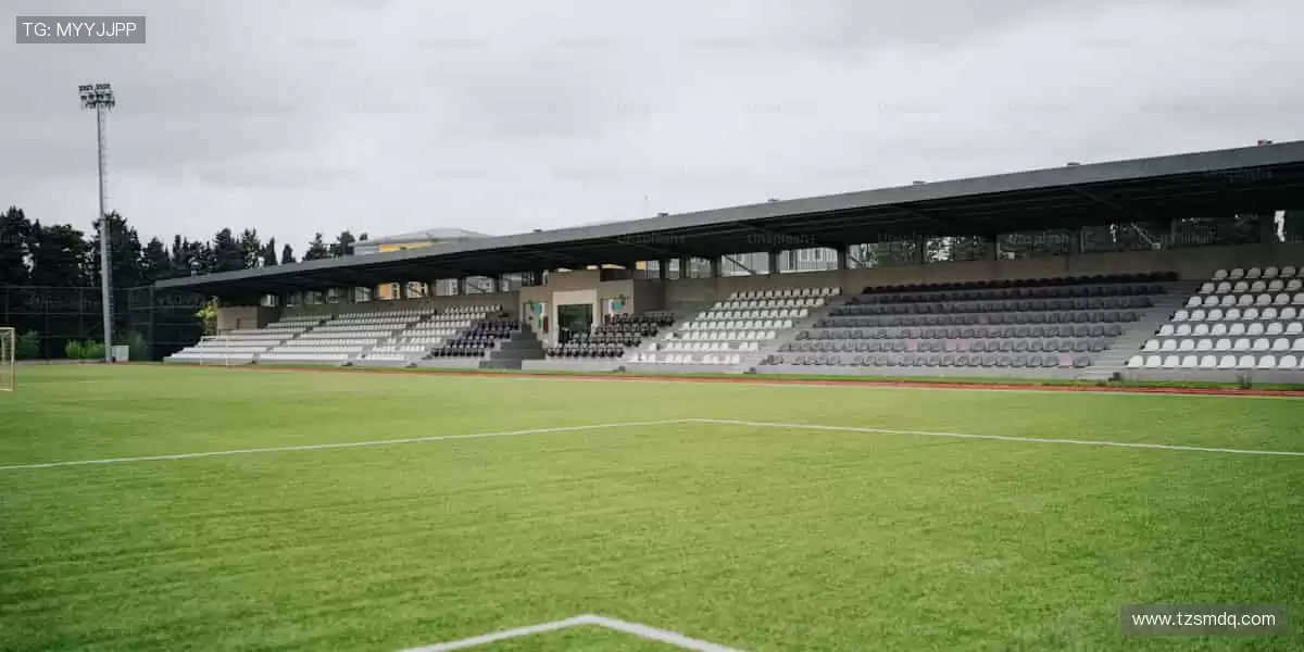 🎯 你的专属运动装备库,即刻解锁!